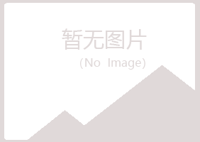 池州夏槐会计有限公司